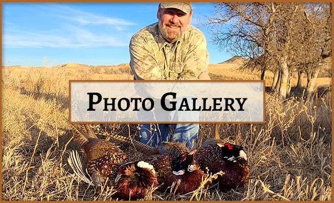 Eastern Montana Outfitters Photo Gallery Eastern Montana Outfitters Photo Gallery